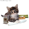 pet_and_home_ervices__12_gif.jpg