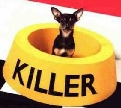 pet_and_home_ervices__15_.jpg