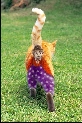pet_and_home_ervices__18_.jpg