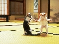 pet_and_home_ervices__19_.jpg